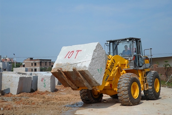 Pá Cargadora  XJ955-9E